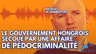 Le gouvernement hongrois secoué par une affaire de pdcriminalité  Nicolas de Lamberterie [upl. by Cordy]