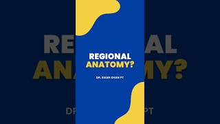 Regional Anatomy anatomy anatomyfacts regionalanatomy youtubeshorts fyp shortsfeed upperlimb [upl. by Yajnas139]