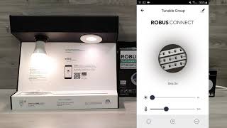 ROBUS CONNECT  How to Group Devices [upl. by Jecoa]