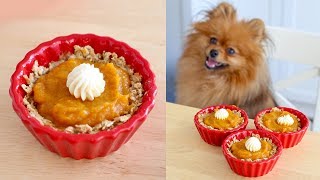 How to Make Pumpkin Pie for DOGS  RECIPE  PADDINGTONS PANTRY [upl. by Eceinahs426]