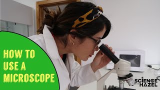 How To Use A Microscope  Biology Practicals [upl. by Carper]