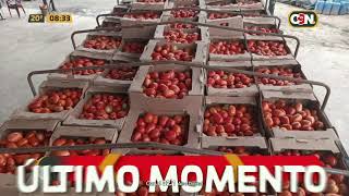 Incautaron más de 8 mil kilos de tomate en Canindeyú [upl. by Cammie]