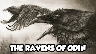 Odins Mythical Ravens  Huginn and Muninn Norse Mythology Explained [upl. by Oika]