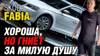 Skoda Fabia Универсал Практичный семейный автомобиль [upl. by Oates466]