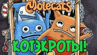 КОТЭКРОТЫ ЛЮБЯТ МАРШИРОВАТЬ  Molecats [upl. by Nattie981]