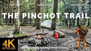 Backpacking Pennsylvania  The Pinchot Trail North Loop [upl. by Liddle927]