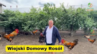 🍲 Domowy Rosół Wiejski z Makaronem Domowej Roboty 🍲 [upl. by Zoes]