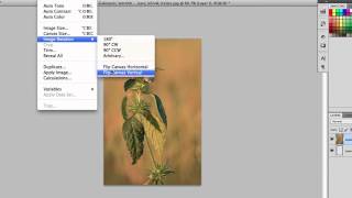 How to Flip a JPEG  Sharpen Your Computer Skills [upl. by Costanzia]