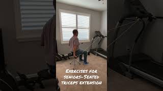 Exercises for SeniorsSeated Triceps Extension [upl. by Reckford268]