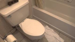 Bathroom Tour American Standard Toilet at a hotel [upl. by Etnomal]