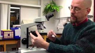 Introduction to the compound light microscope [upl. by Halimaj]