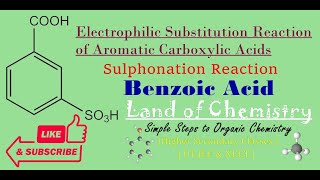 Sulphonation of benzoic acid  msulpho benzoic acid  Electrophilic Substitution Reaction Class 12 [upl. by Vine]