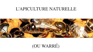 Lapiculture en warré [upl. by Theodor]