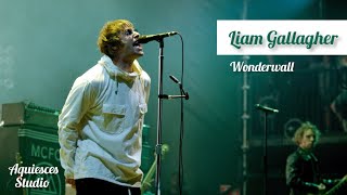 Liam Gallagher Wonderwall Live Knebworth 22 [upl. by Adnawuj218]