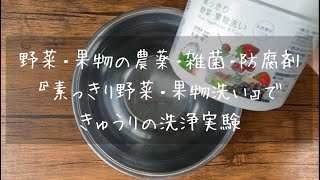 【実験】ホタテのパワーで野菜の残留農薬を洗ってみたら驚愕だった【素っきり野菜・果物洗い】｜プレマチャンネル [upl. by Yelrebmyk456]