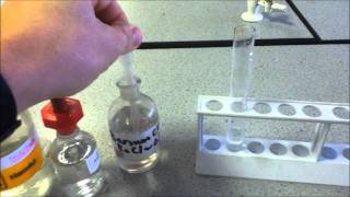 Test for Sulfate ions [upl. by Ysak]