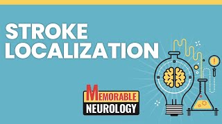 Stroke Localization Made Easy with Mnemonics Memorable Neurology Lecture 14 [upl. by Tarrance]