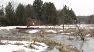 Canoeing the Coldwater River Mar 8 2012 [upl. by Vahe31]