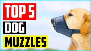 Top 5 Best Dog Muzzles to Prevent Biting of 2021 Review [upl. by Rednasela]