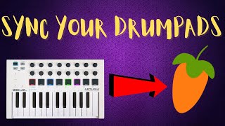 HOW TO PROPERLY CONNECT YOUR MINILAB MK2 IN FL STUDIO  NO FPC [upl. by Scammon]