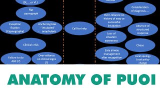 SAS 2022 The anatomy of Unrecognised Oesophageal Intubation [upl. by Suisyola920]