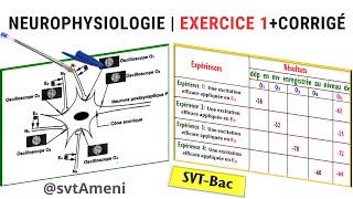 SVTBac Neurophysiologie Exercice 1  Corrigé [upl. by Aivital]