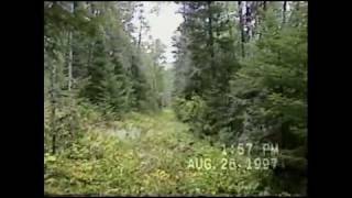 Gunflint and Lake Superior Railroad 1997 [upl. by Nami]