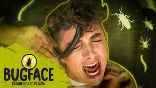 Lewys Ball takes on a GIANT African Millipede I Bugface I BBC Earth Kids [upl. by Mercola]