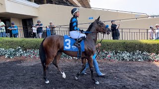 Tahini Blows By The Competition to Win The Opener at Del Mar [upl. by Lramaj345]