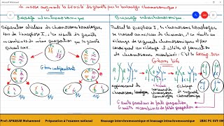 3Le brassage intrachromosomique et le brassage interchromosomique [upl. by Nuli]