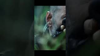 Tears Of The Sun full action movie 2024 clip movie movieclips shortfilm armyfilm [upl. by Anecusa]