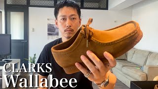 【Clarks】近年流行ってるワラビー買ってみたら良すぎて沼にハマりました【Wallabee  クラークス】 [upl. by Fernandez]