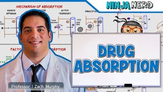 Pharmacokinetics  Drug Absorption [upl. by Gerti346]