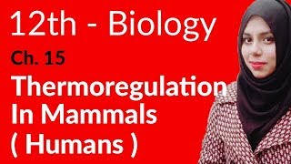 2nd Year Biology Ch 15  Thermoregulation In Mammals Humen  FSc Biology Book 2 [upl. by Ellesij]