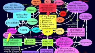 Alzheimers Reversal 6 of 9 [upl. by Lewap]