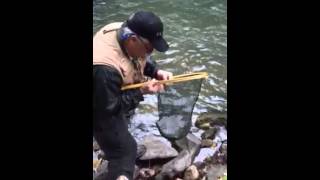 Trout Fishing At Chimney Rock [upl. by Anina]