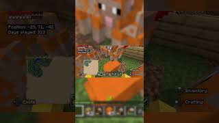 Minecraft sheep farm Minecraft sheep minecraftrealms pets farming [upl. by Constancy752]