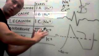 Cardiovascular Procainamide Lidocaine Flecainide Amiodorone Ibutilide [upl. by Adiarf]