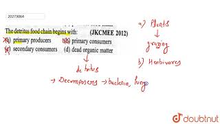 The detritus food chain begins with [upl. by Shwalb]