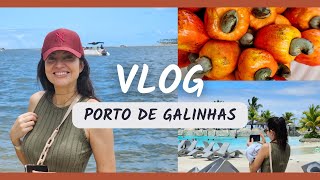 🧳 VLOG CHEGUEI EM PORTO DE GALINHAS Comidas Enotel e Passeio de Catamarã na Praia dos Carneiros🌊 [upl. by Anirdnaxela]