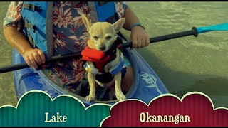 Mookies Lake Okanagan Kayak Adventure [upl. by Ardnahcal754]