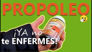 😷 PROPÓLEO Para que Sirve y sus BENEFICIOS  Cosas que no Imaginabas [upl. by Alliuqet]