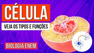 CÉLULA O que é Funções Tipos e Estrutura básica das Células  Biologia Enem Profe Claudia Aguiar [upl. by Sansbury121]