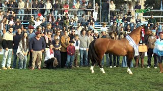 Jacques Boutmy  Jura Caballos Criollos [upl. by Cheslie]