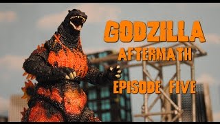 GODZILLA vs KING GHIDORAH SH MonsterArts Stop Motion Aftermath Episode 5 [upl. by Ardnait98]