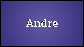 Andre Meaning [upl. by Delanie]