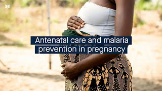 WHO antenatal care policy and prevention of malaria in pregnancy in subSaharan Africa [upl. by Aina]