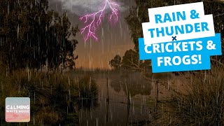 DEEP SLEEP Rain and Thunder  Frogs Crickets and Owls Sounds Black Screen  8 Hrs Swamp Ambience [upl. by Dulcine646]