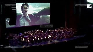 Harry Potter and the Prisoner of Azkaban in concert  Buckbeaks Flight [upl. by Audras35]