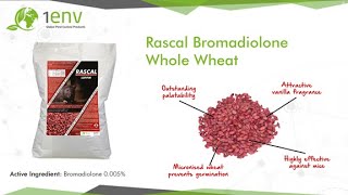 Rascal Bromadiolone Whole Wheat Informational Video [upl. by Barnett208]